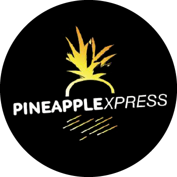 פיינאפל אקספרס לוגו